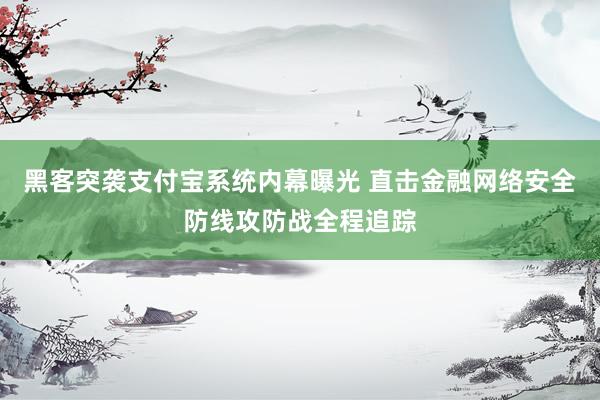 黑客突袭支付宝系统内幕曝光 直击金融网络安全防线攻防战全程追踪